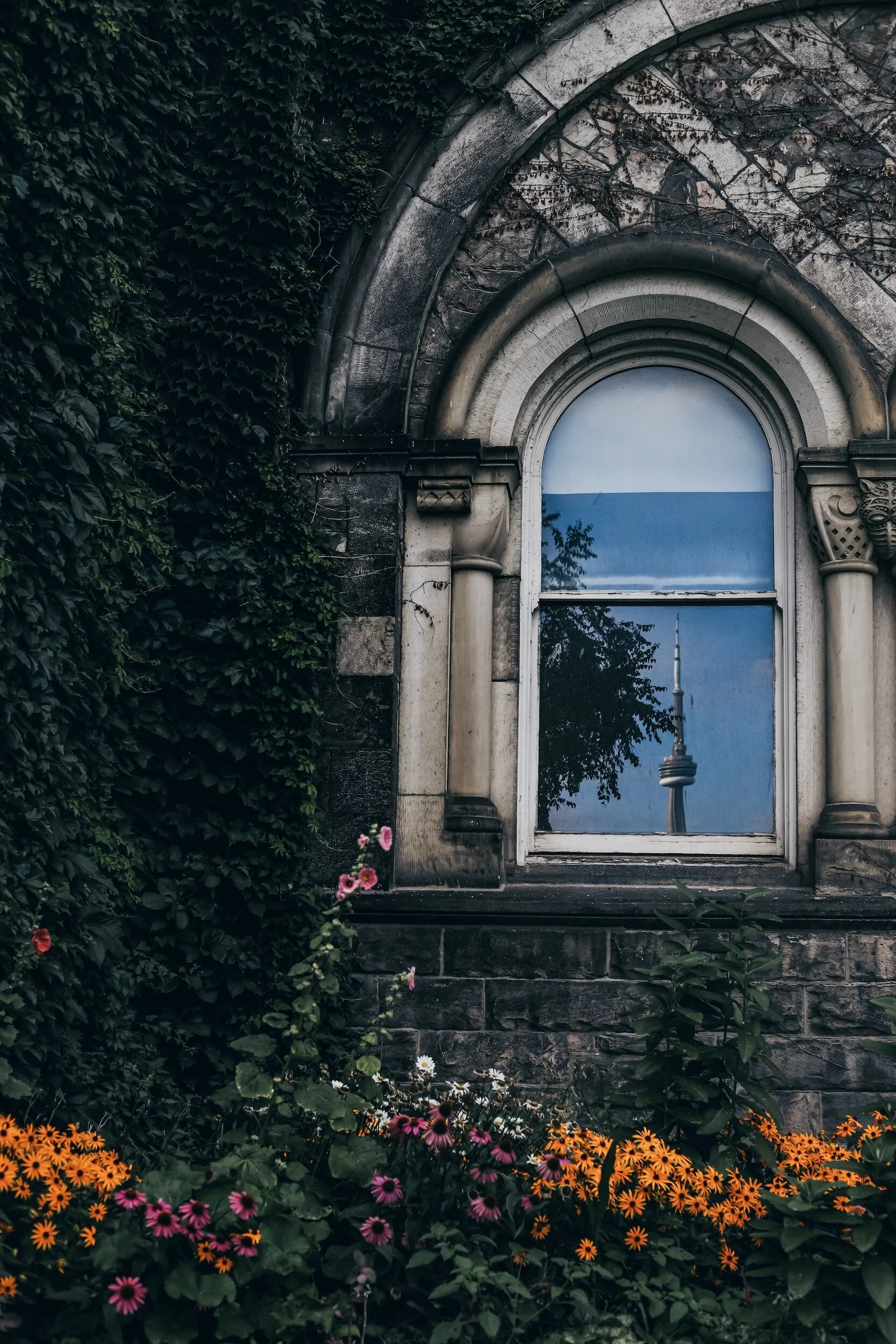 Ivy-covered stone arch framing a window that reflects the CN Tower